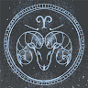 Meet your Posher, C-bear